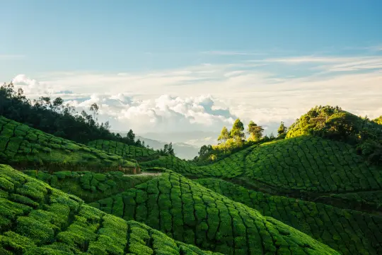 Hill station escapes